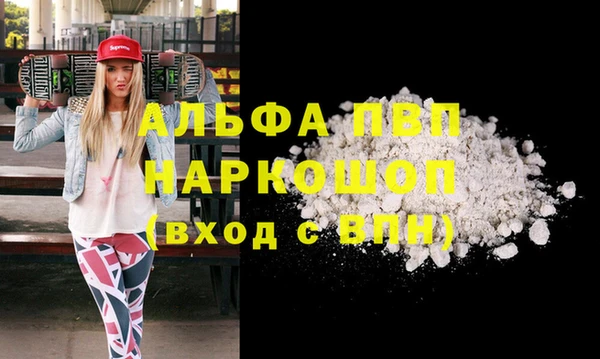 СК Надым