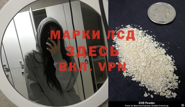 СК Надым