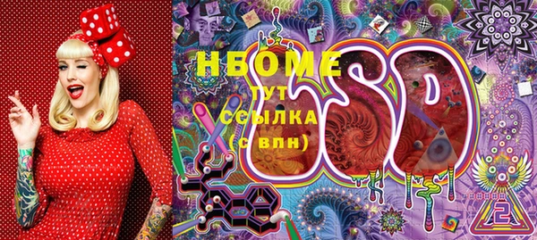 СК Надым