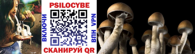 Псилоцибиновые грибы Magic Shrooms  mega ТОР  Михайлов 